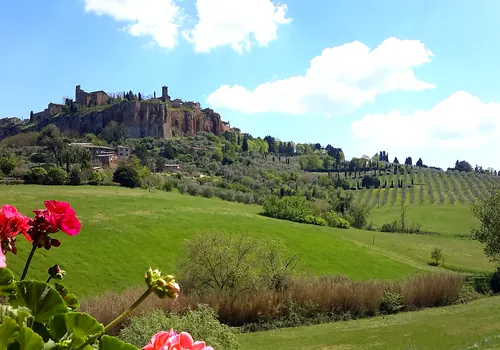 Vista dalla terrazza del B&B Il Terrazzo verso la campagna e la Rupe di Orvieto
